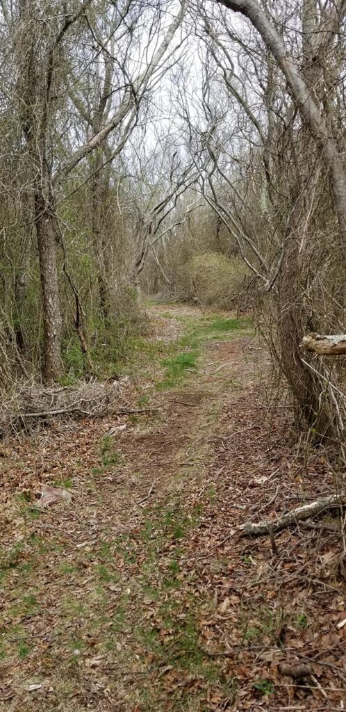 family-friendly-block-island-hikes