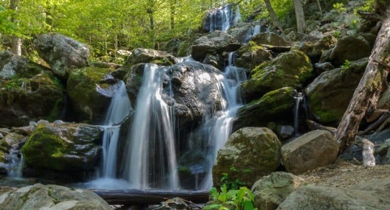 Family Road Trip Ideas Dark Hollow Falls, Shenandoah National Park