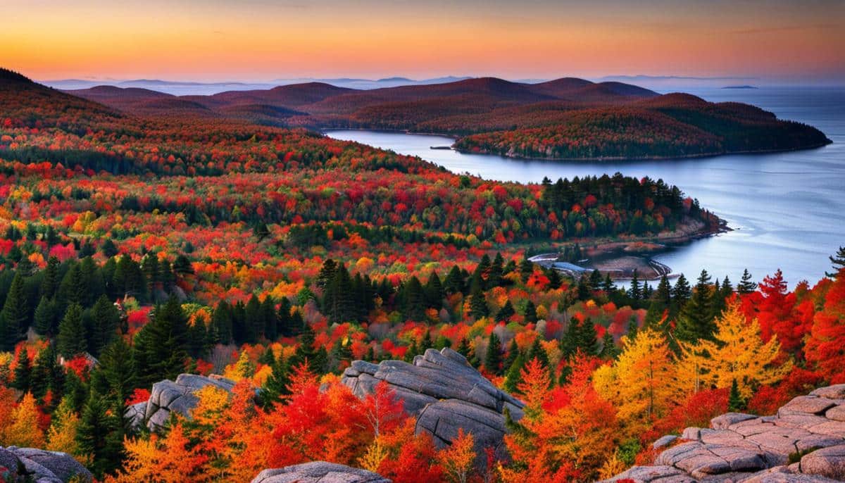 Image of vibrant fall foliage in Acadia National Park